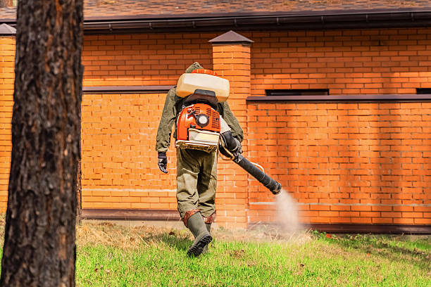 Trusted Rodent Control service in Dewart, PA - Nex Pest Control